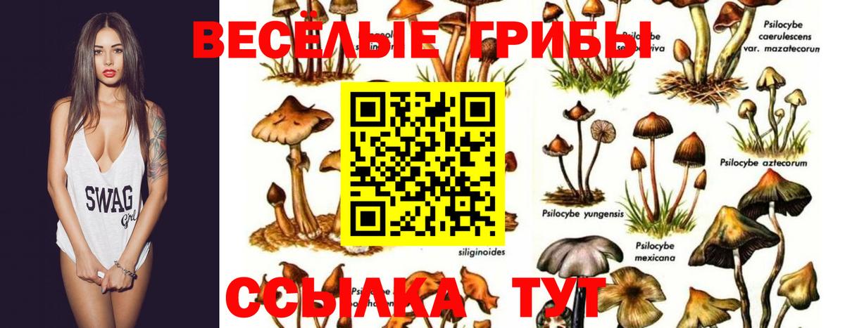 Псилоцибиновые грибы мухоморы Прокопьевск