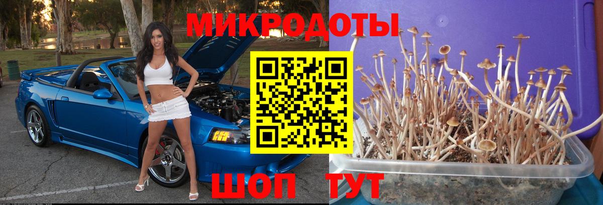 Галлюциногенные грибы Psilocybe  Псилоцибиновые грибы ЛСД  Вход с VPN  Прокопьевск 